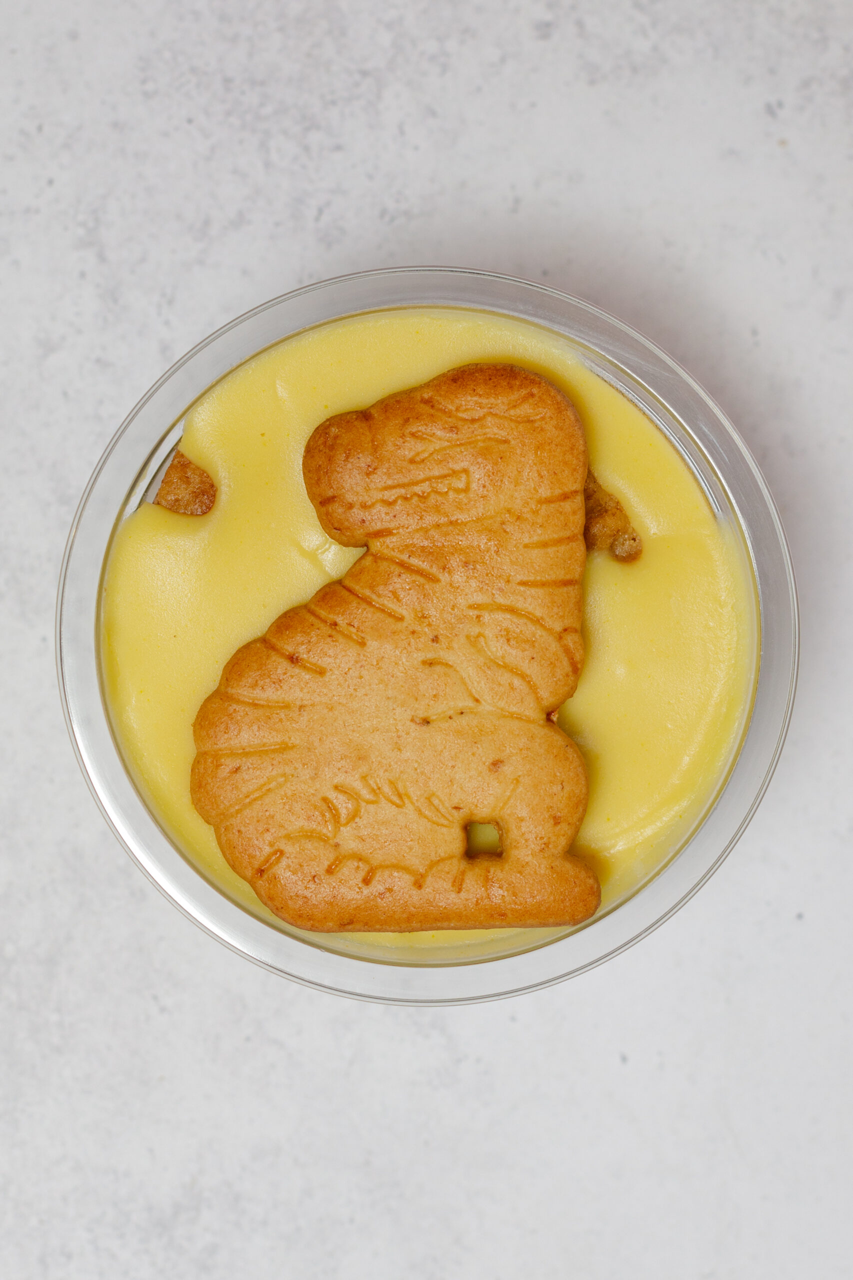 Antonelia 6 scaled 1